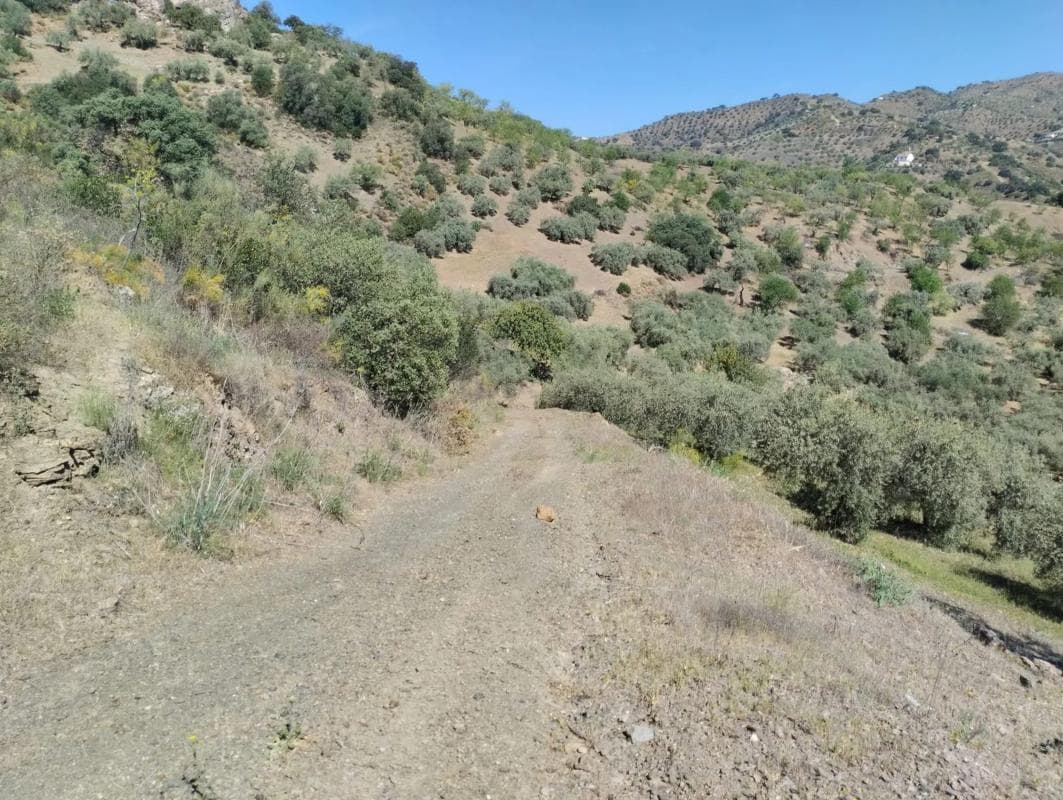 Land for sale in Málaga, Malaga photo 2