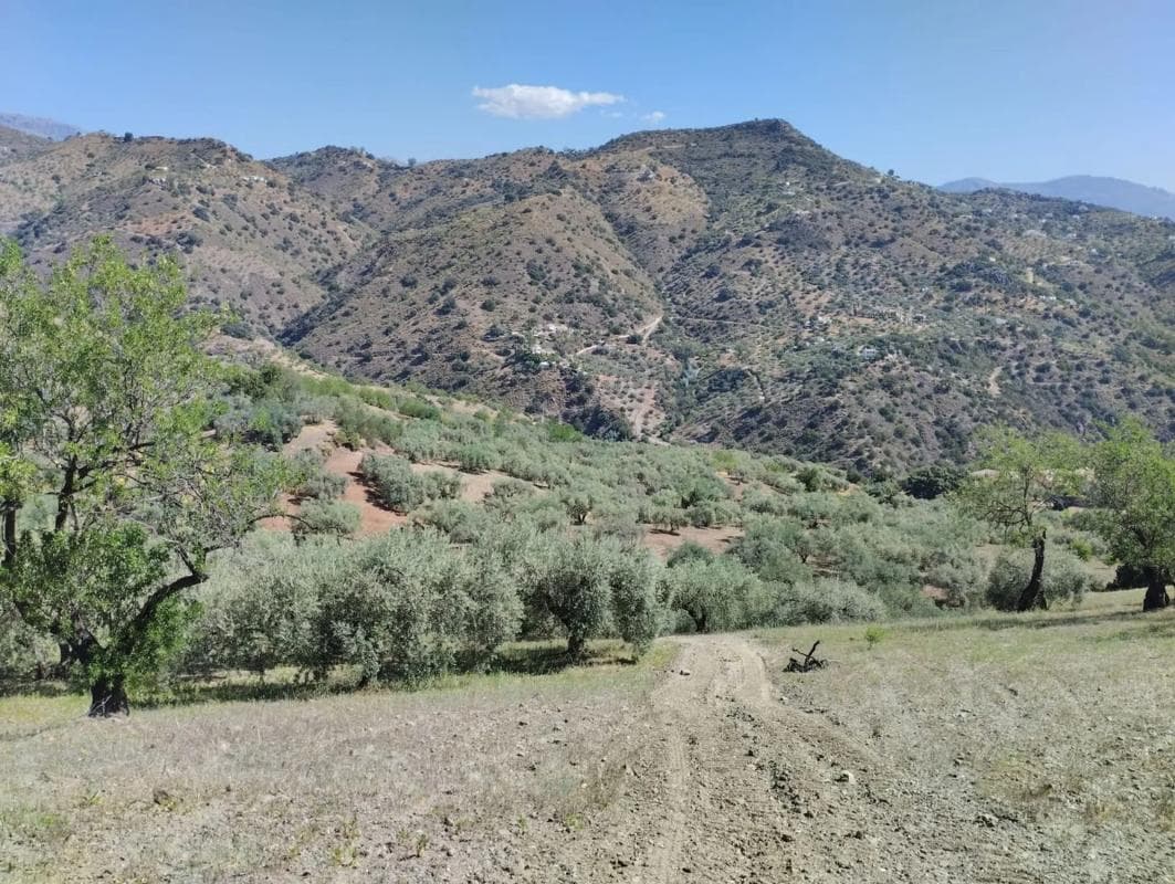 Land for sale in Málaga, Malaga photo 3