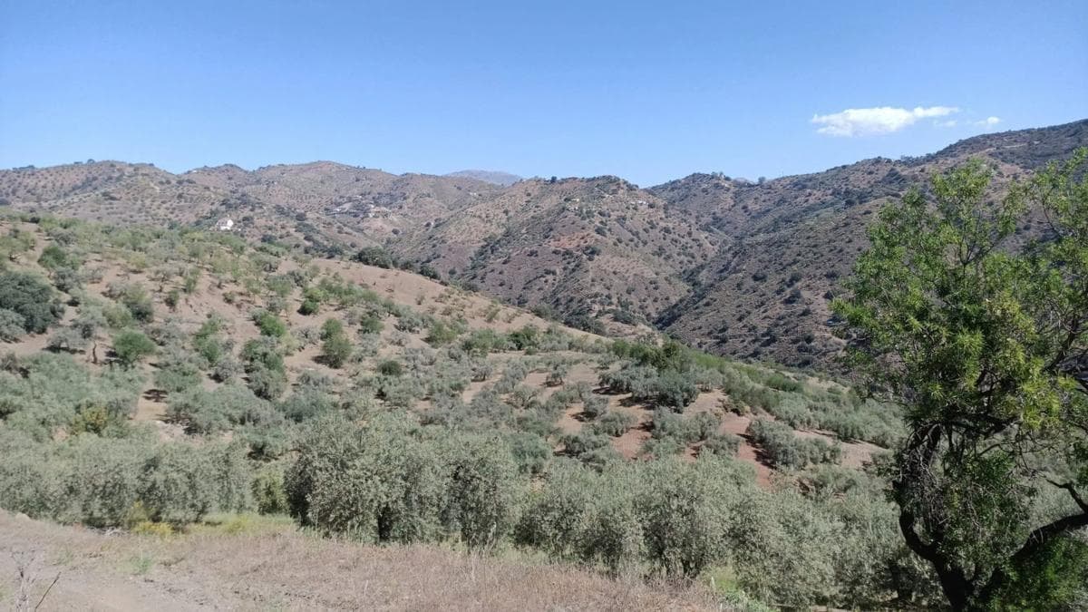 Land for sale in Málaga, Malaga photo 4