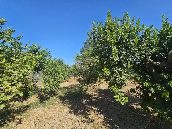 Terreno en Barrio Campanillas thumbnail 2