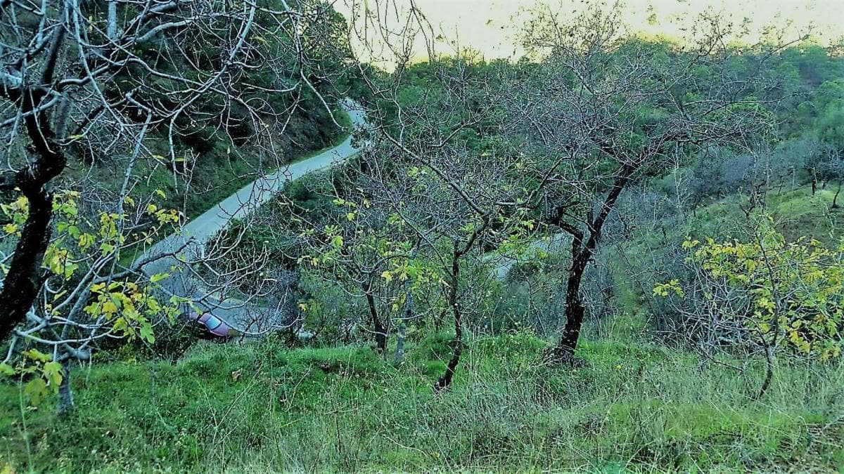 Terreno en venta en Istan, Malaga photo 3