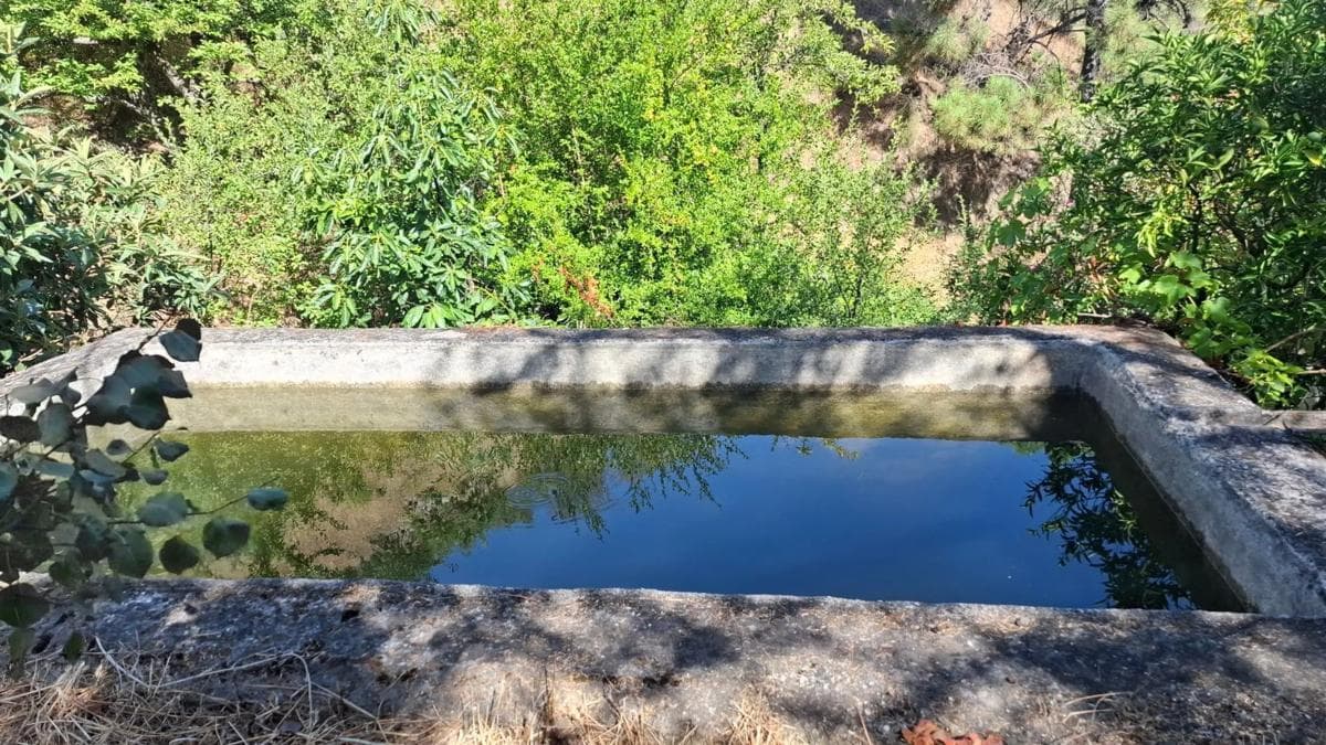 Terreno en venta en Istan, Malaga photo 4