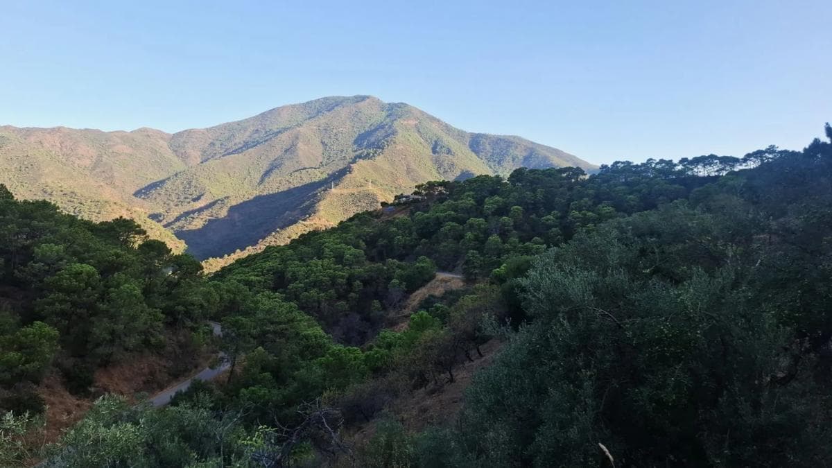 Terreno en venta en Istan, Malaga photo 5