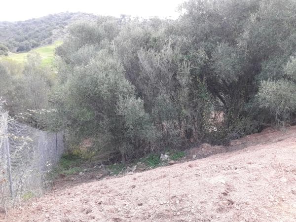 Terreno en avenida Aljaima s/n photo 1
