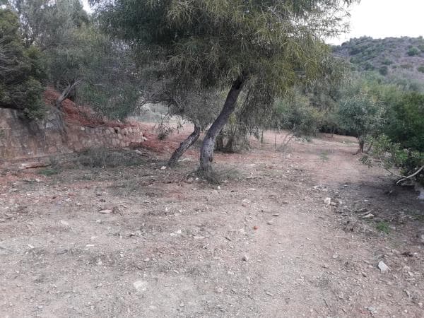 Terreno en avenida Aljaima s/n thumbnail 2