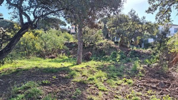 Terreno en Urbanización Parque Elviria photo 1