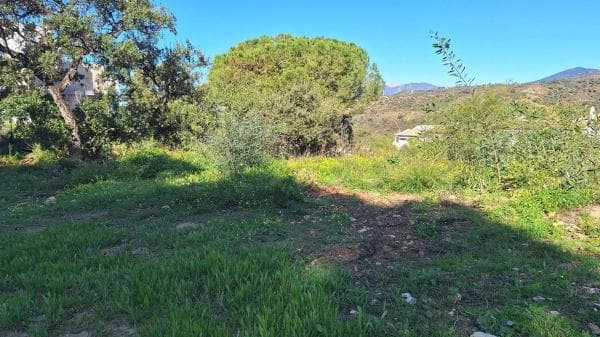 Terreno en Urbanización Parque Elviria thumbnail 2