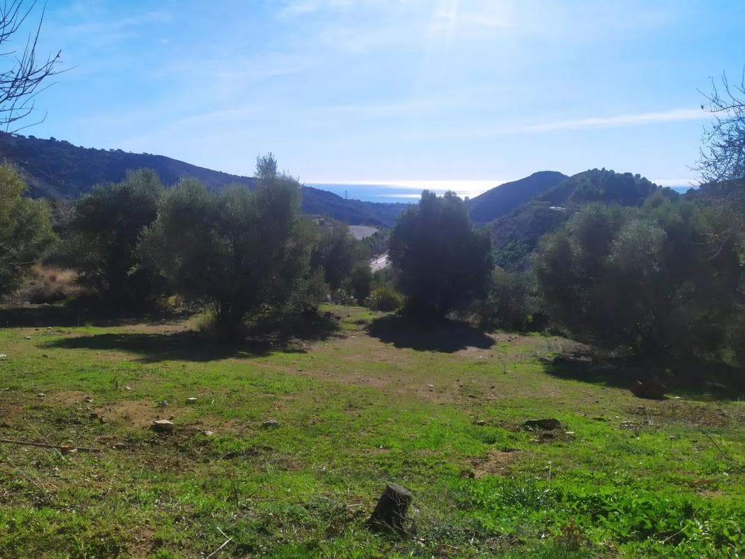 Terreno en venta en Ojén, Malaga photo 4