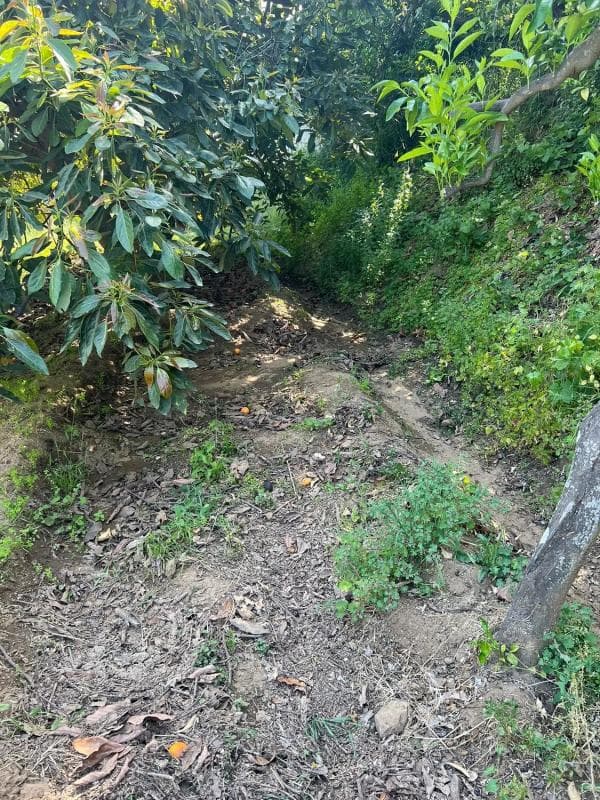 Terreno en venta en Ojén, Malaga photo 2