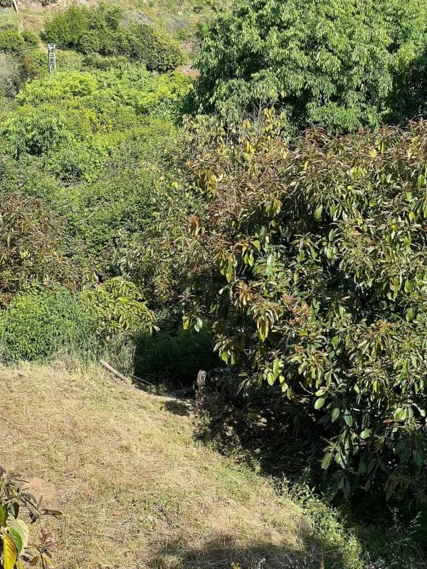 Terreno en venta en Ojén, Malaga photo 5