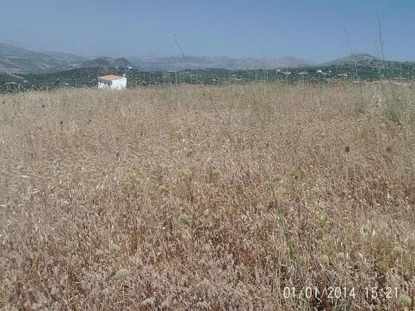 Terreno en Alcaucín photo 1