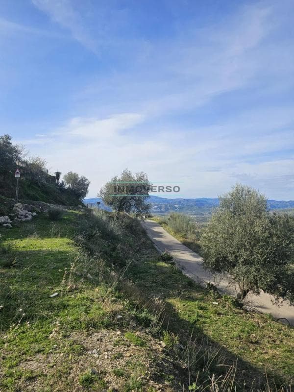 Terreno en venta en Alcaucín, Malaga photo 5