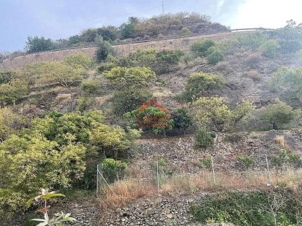Terreno en Algarrobo photo 1