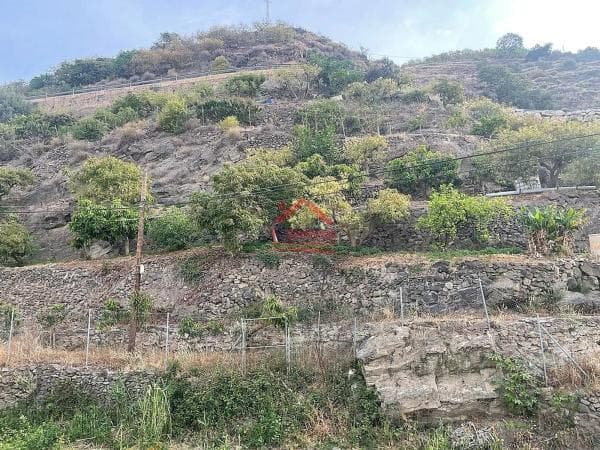 Terreno en Algarrobo photo 4