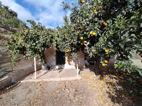 Terreno en Algarrobo photo 1