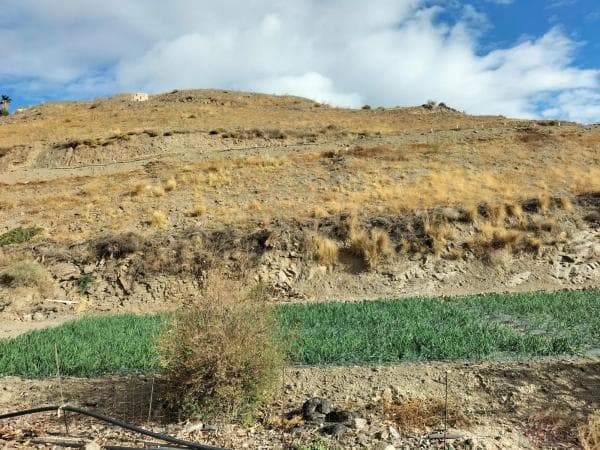 Terreno en Algarrobo photo 4