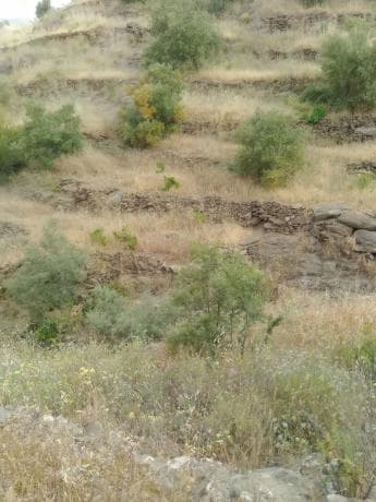 Terreno en El romeral, 2 Paraje photo 1