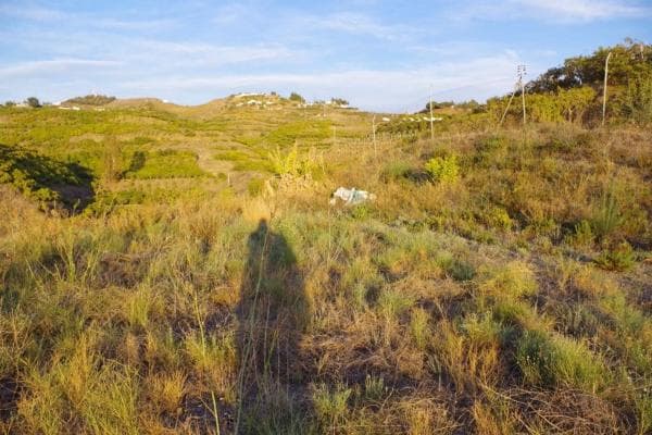 Terreno en Algarrobo photo 2