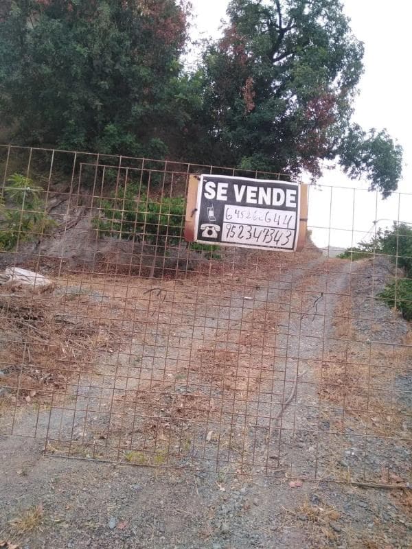 Terreno en venta en Canillas de Aceituno, Malaga photo 2