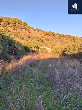 Terreno en Canillas de Aceituno photo 1