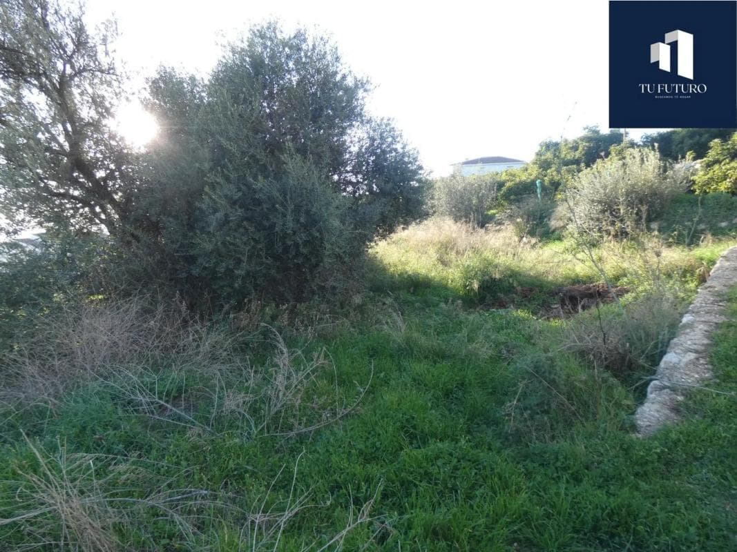 Terreno en venta en Canillas de Aceituno, Malaga photo 2