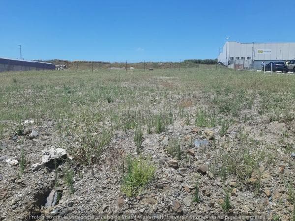 Terreno en Colmenar photo 1