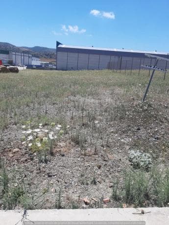 Terreno en Colmenar photo 2