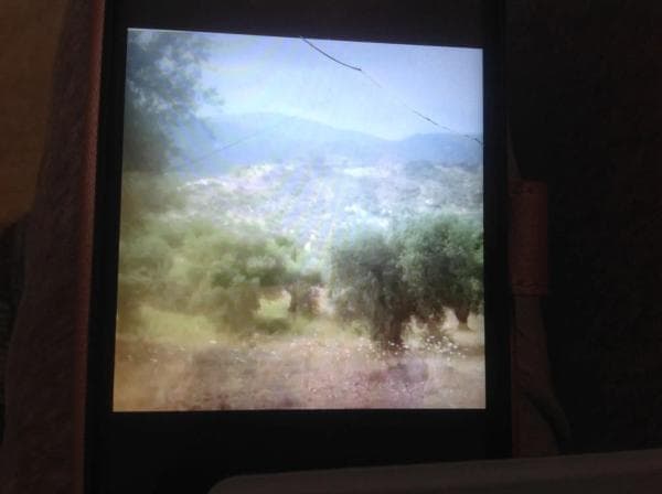 Terreno en carretera 187 s/n photo 1