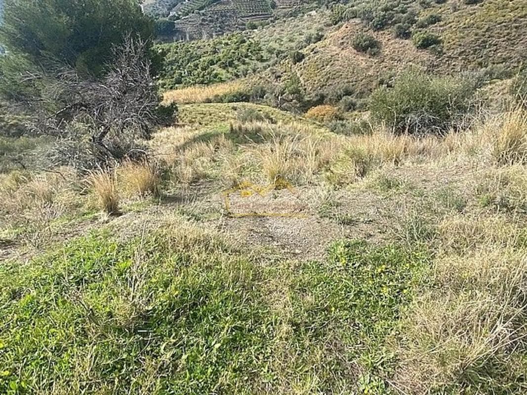 Terreno en venta en Frigiliana, Malaga photo 4