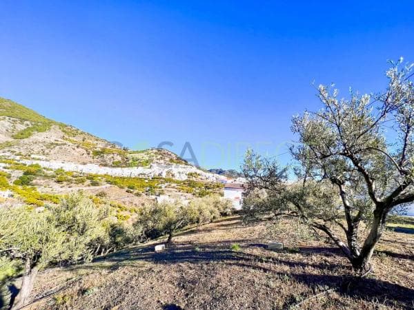 Terreno en Frigiliana photo 3