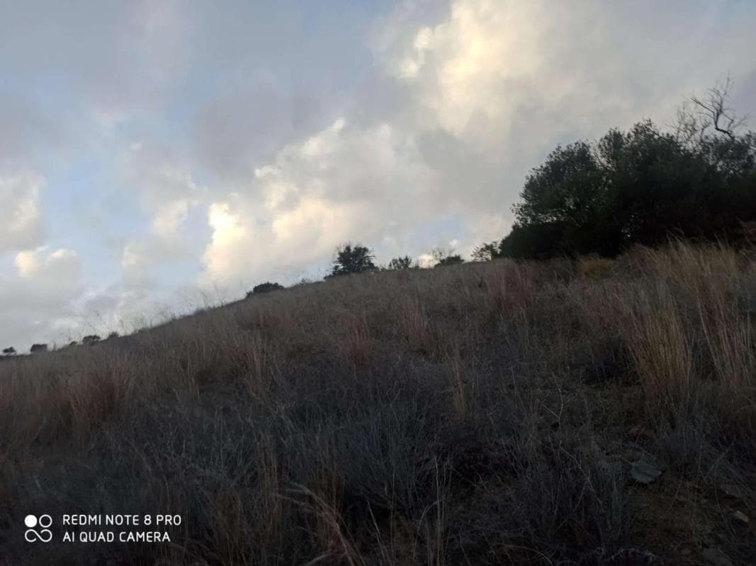 Terreno en venta en Iznate, Malaga photo 2