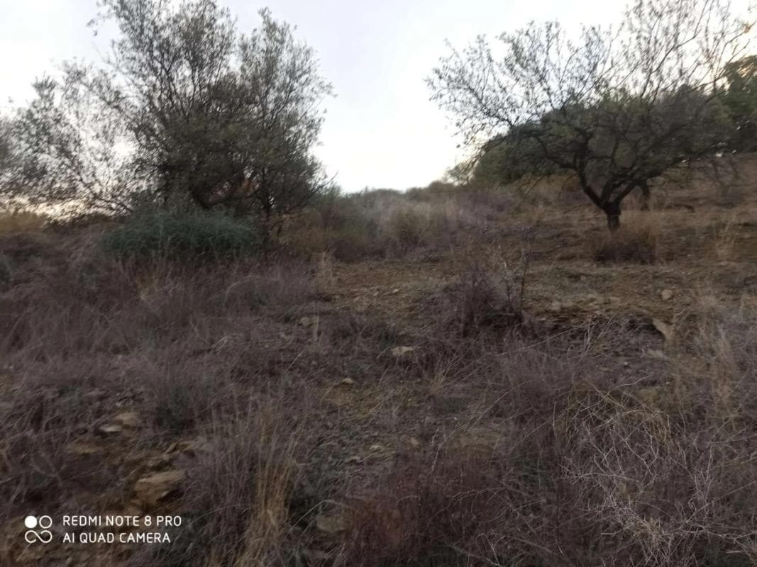 Terreno en venta en Iznate, Malaga photo 3