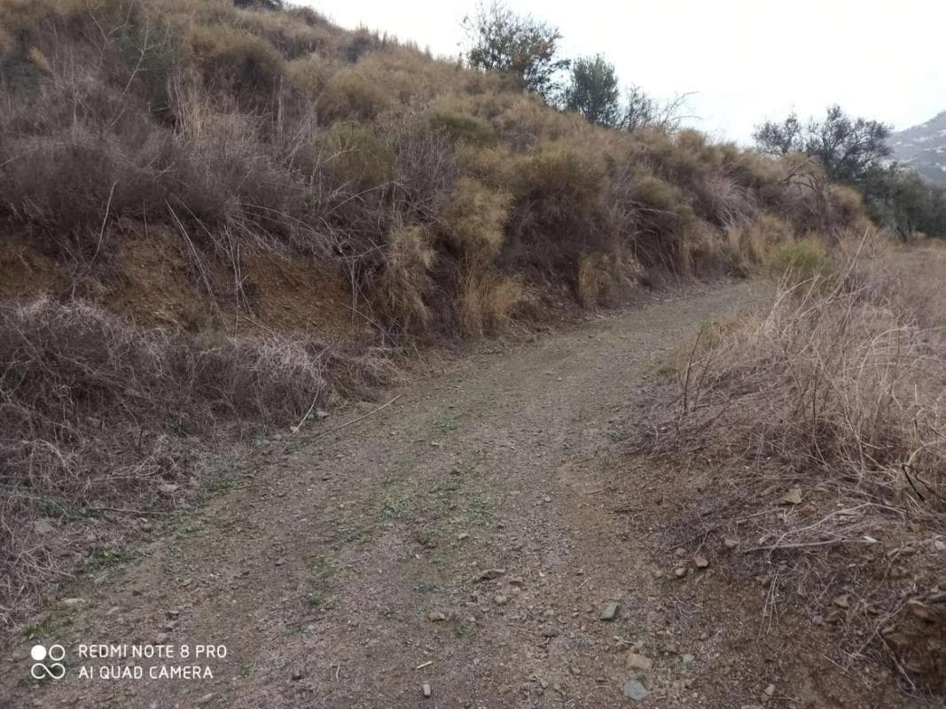 Terreno en venta en Iznate, Malaga photo 4
