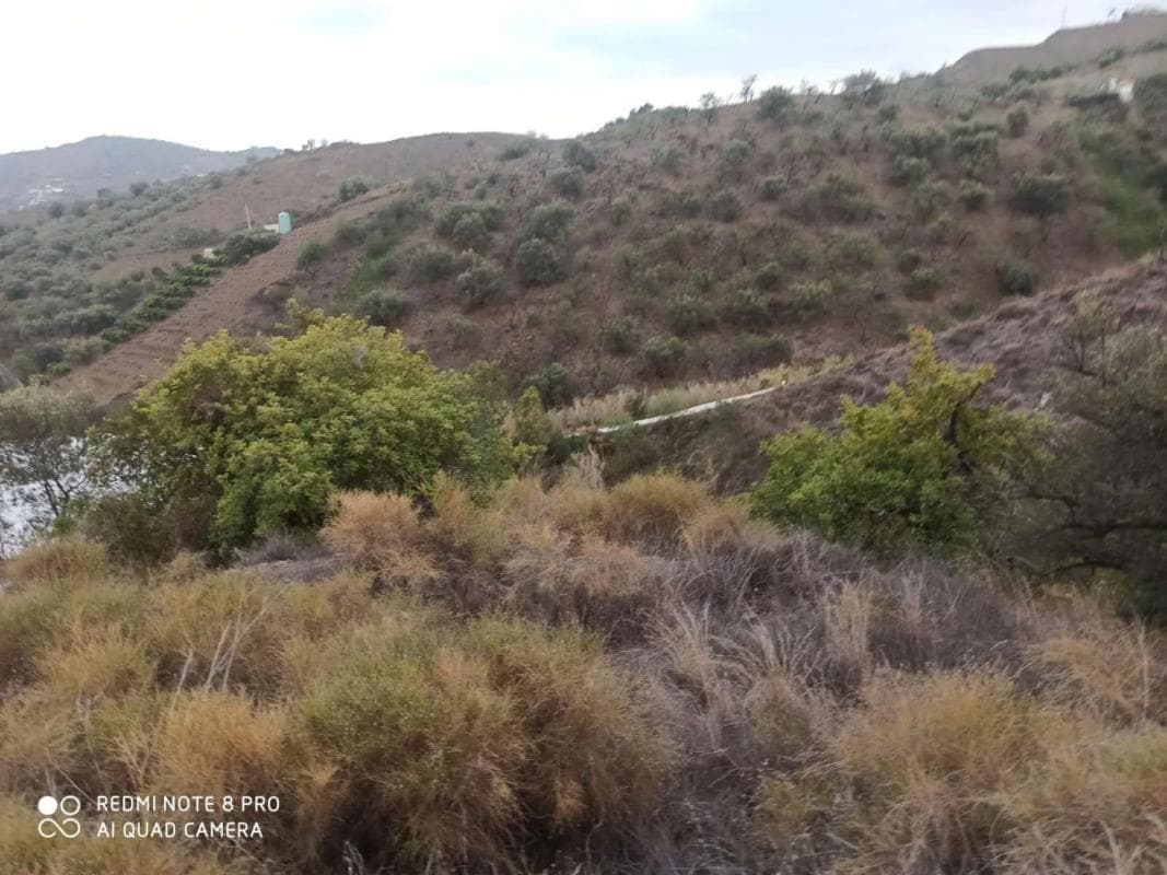 Terreno en venta en Iznate, Malaga photo 5