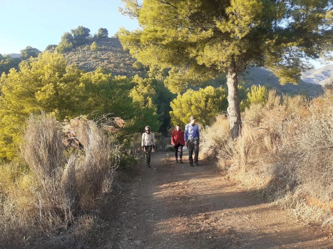Terreno en venta en Nerja, Malaga photo 5