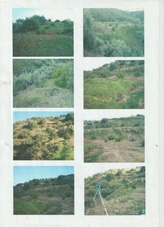 Terreno en el lazo poligono 1 parcela, 894 thumbnail 1