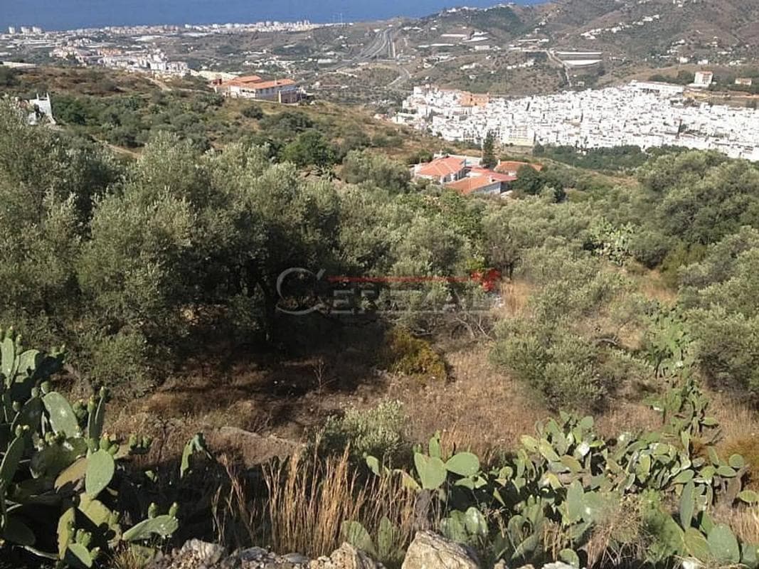 Land for sale in Torrox, Malaga photo 3