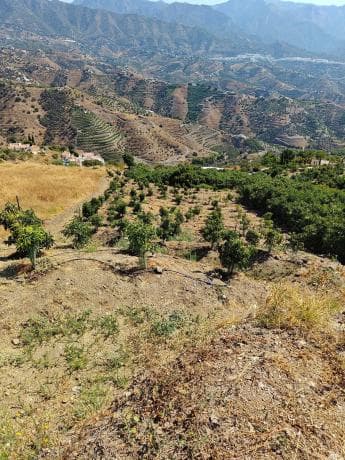 Terreno en pago benamar s/n thumbnail 2