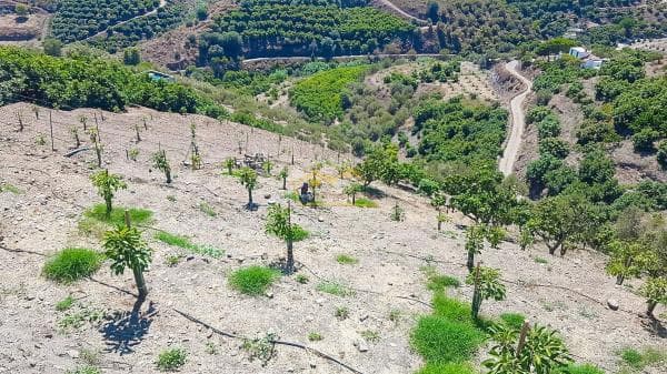 Terreno en Torrox Pueblo thumbnail 2