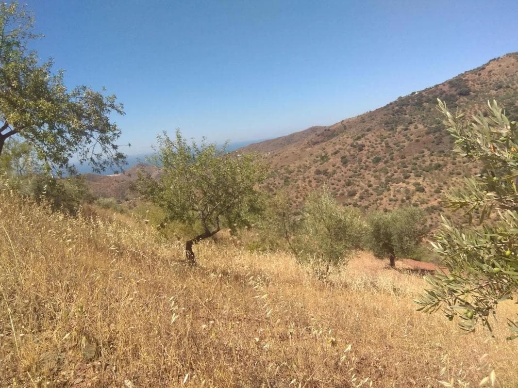Terreno en venta en Totalan, Malaga photo 2