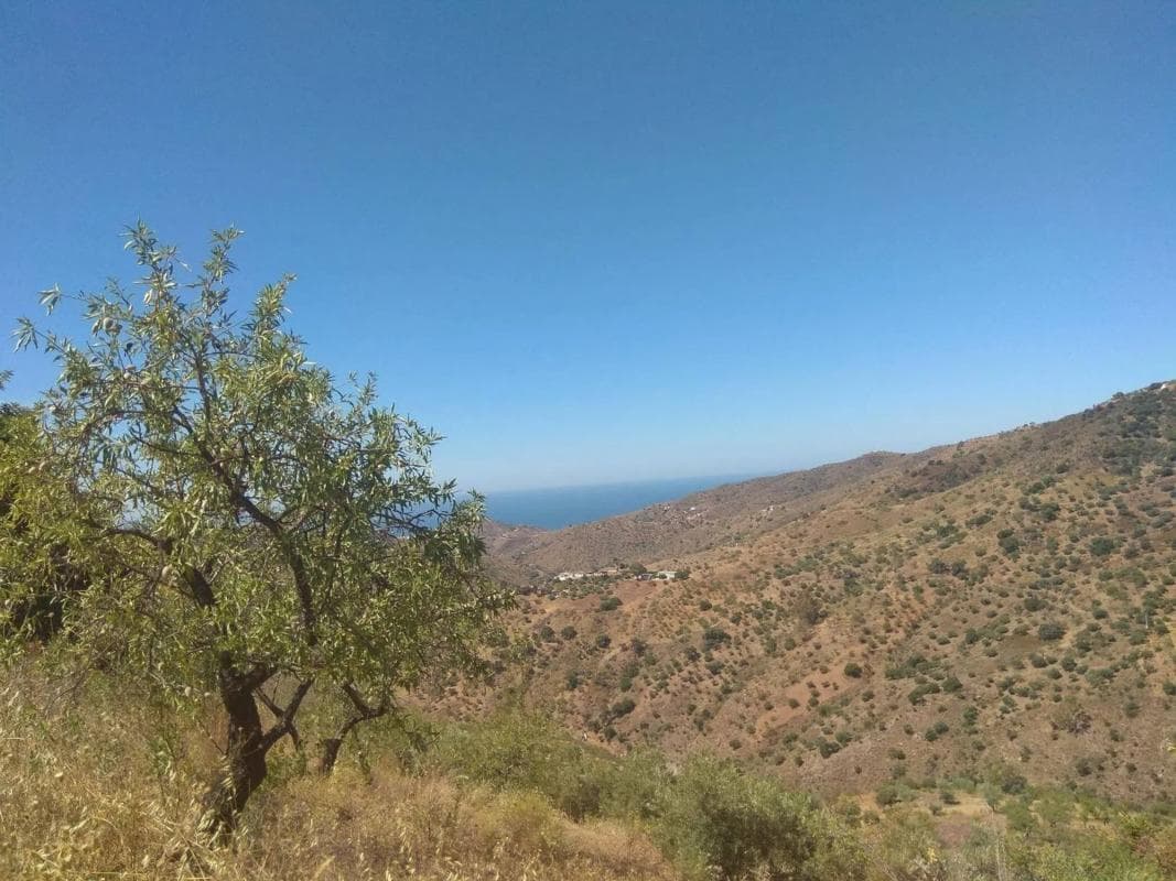 Terreno en venta en Totalan, Malaga photo 4