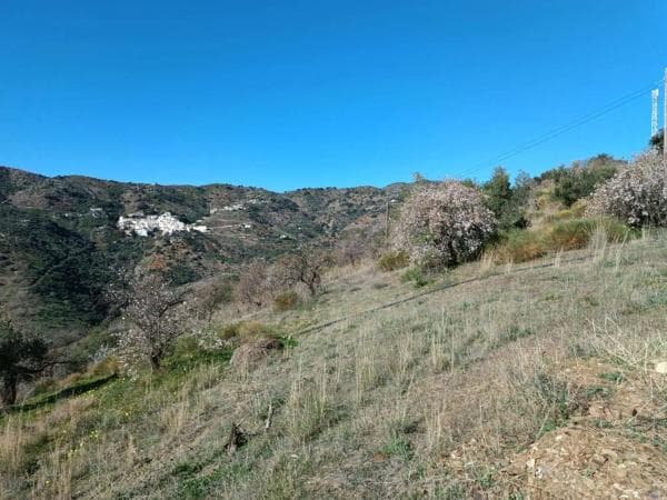 Terreno en Totalan photo 2
