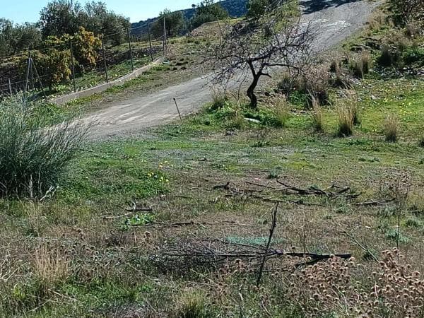 Terreno en Totalan photo 4