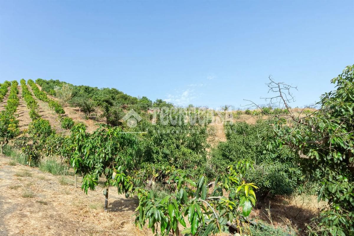 Terreno en venta en Vélez-Malaga, Malaga photo 2