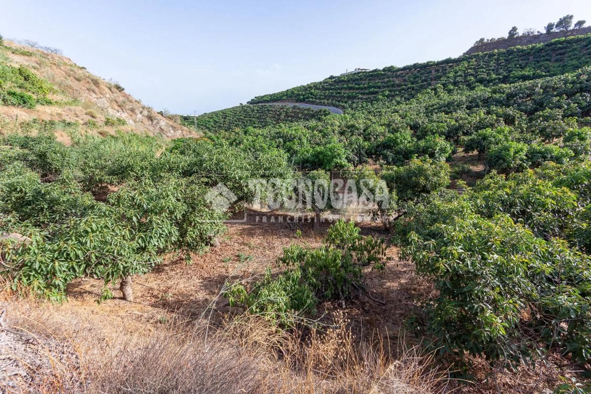 Terreno en venta en Vélez-Malaga, Malaga photo 3