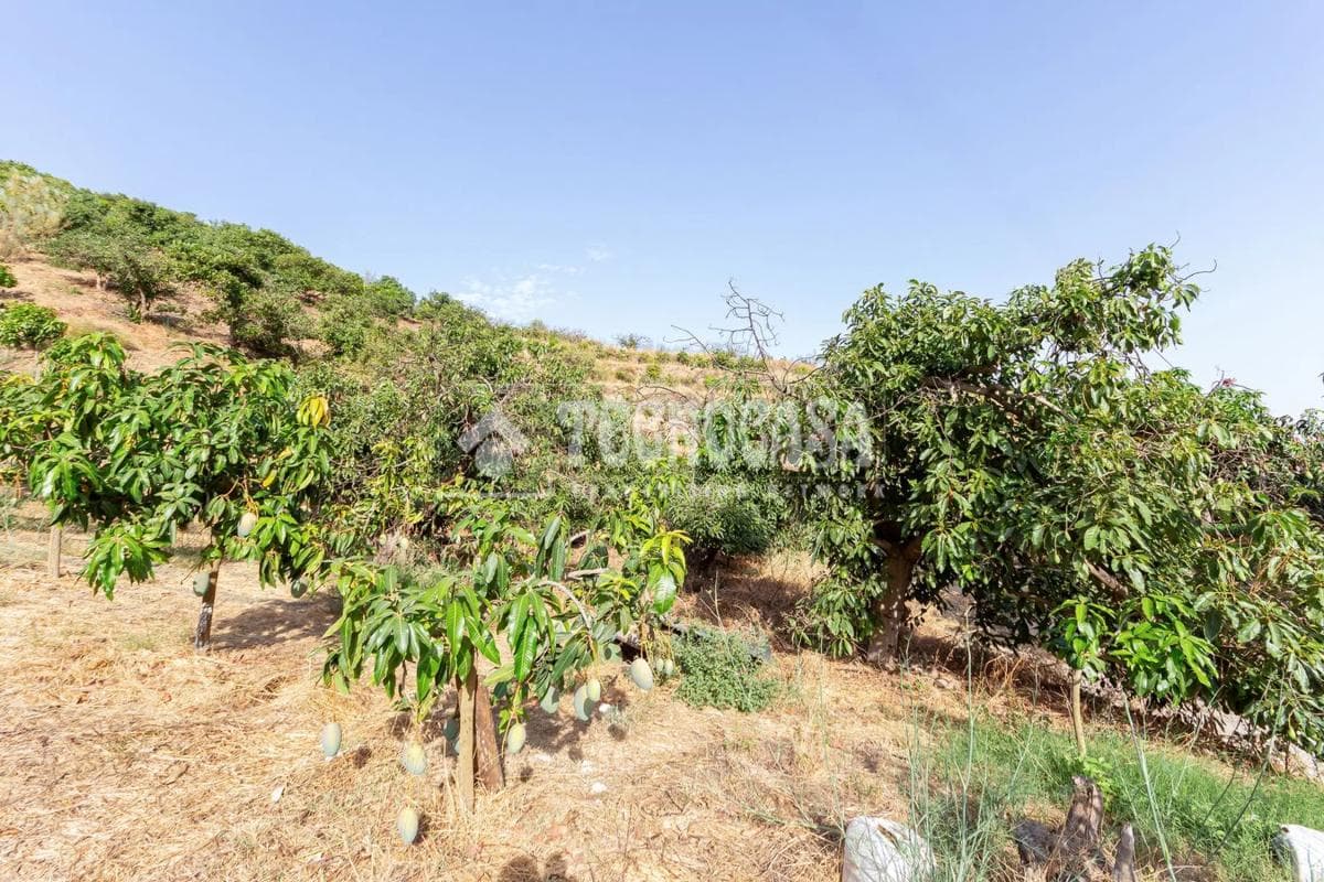 Terreno en venta en Vélez-Malaga, Malaga photo 4