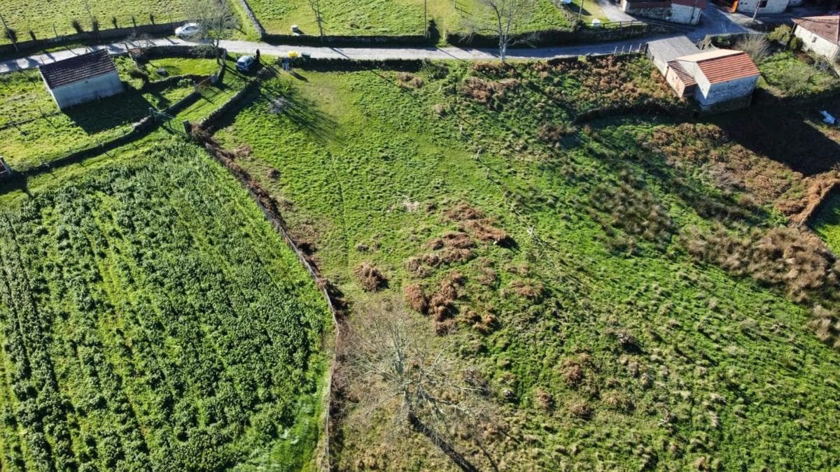 Terreno en venta en Allariz, Ourense photo 4