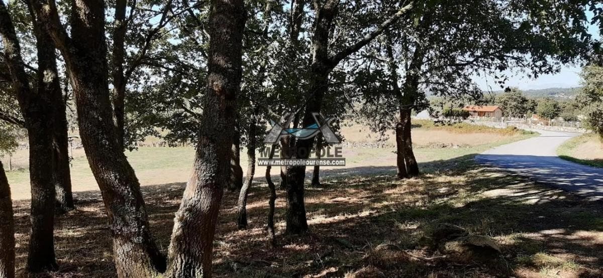 Terreno en venta en Allariz, Ourense photo 5