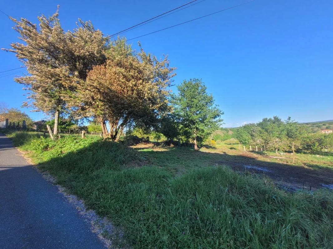 Terreno en venta en Allariz, Ourense photo 2