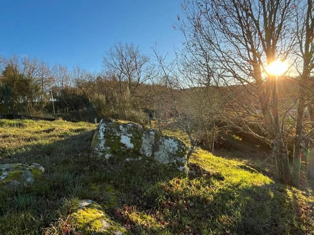 Terreno en venta en Allariz, Ourense photo 3